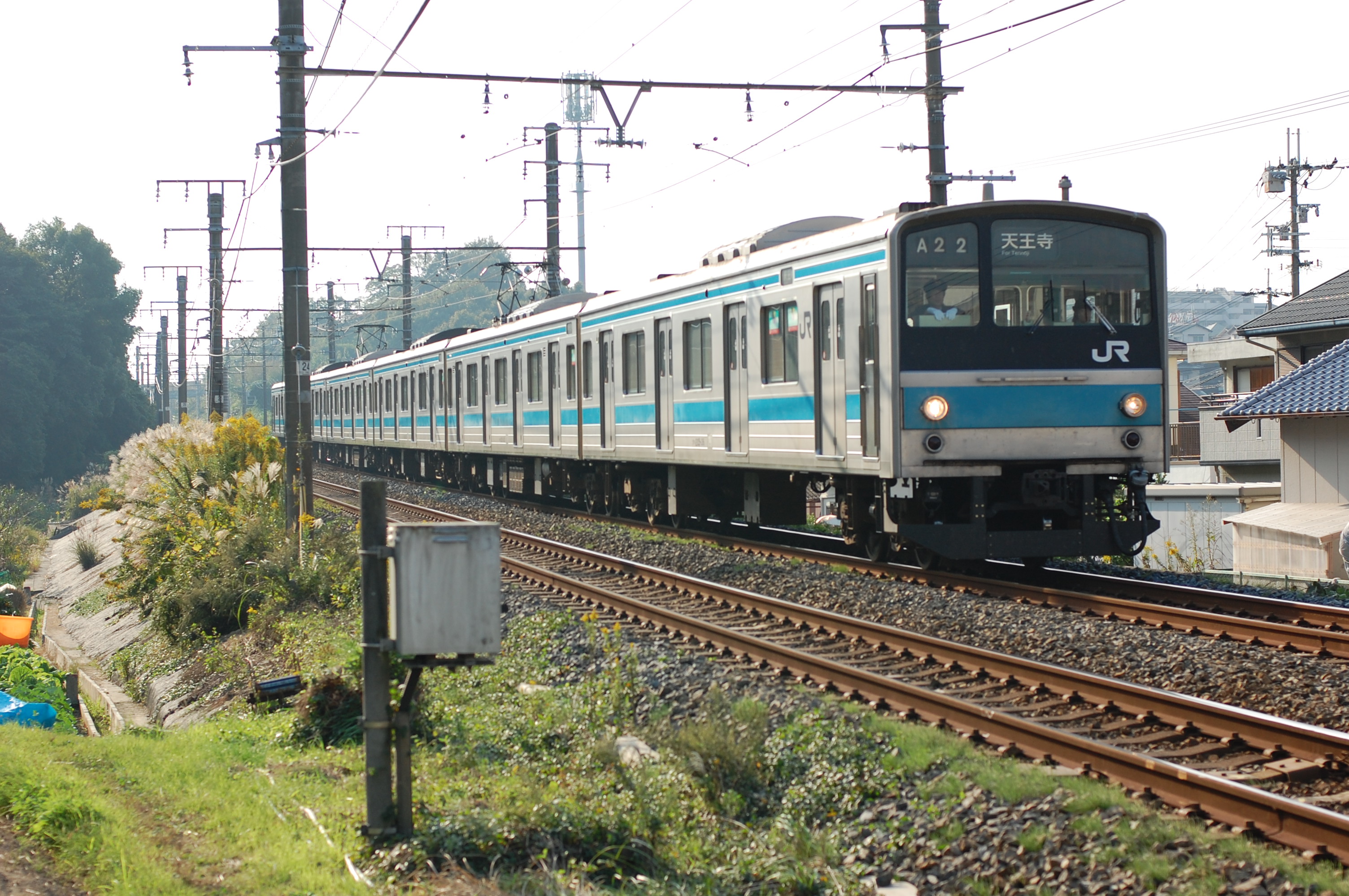 逆光に光るススキの横を通る5系電車 阪和線